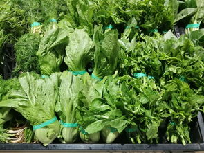 上周云南省生活必需品零售價格觀察 6漲1平5跌，新鮮蔬菜價格回落